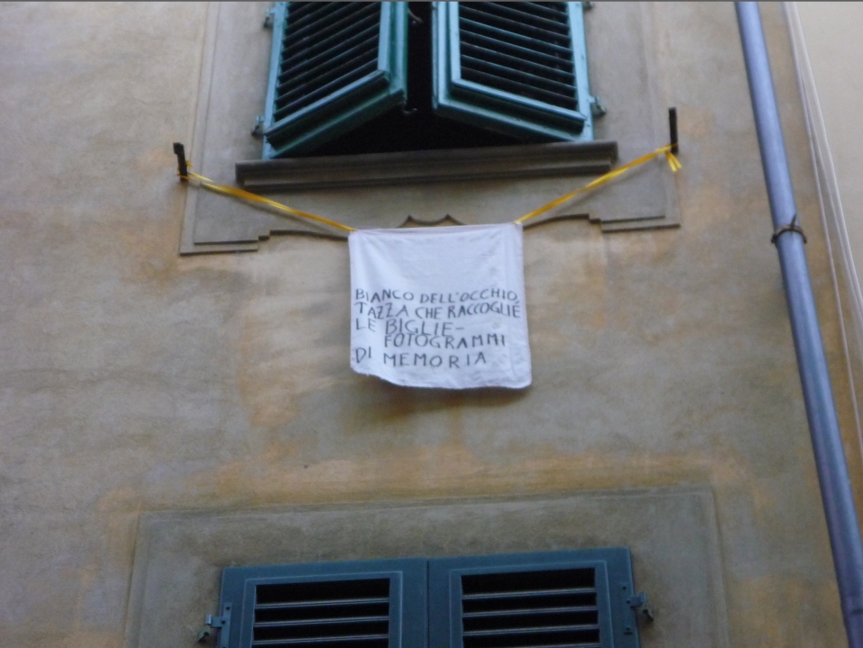 The Plant of Dreaming